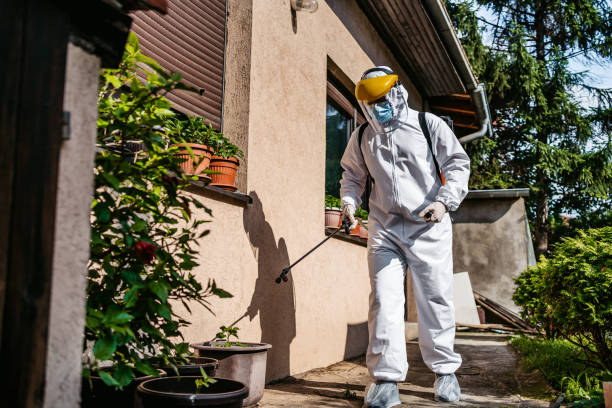 Best Pest Prevention Services  in Cherokee Village, AR