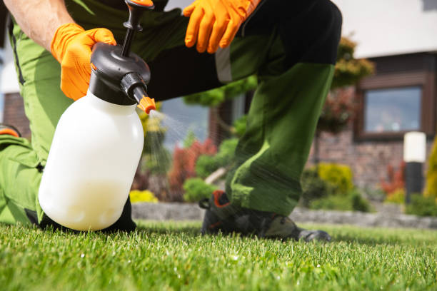 Reliable Cherokee Village, AR Pest Control Solutions