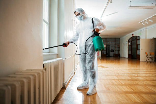 Best Pest Removal Services  in Cherokee Village, AR